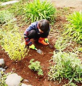 Kid having fun gardening