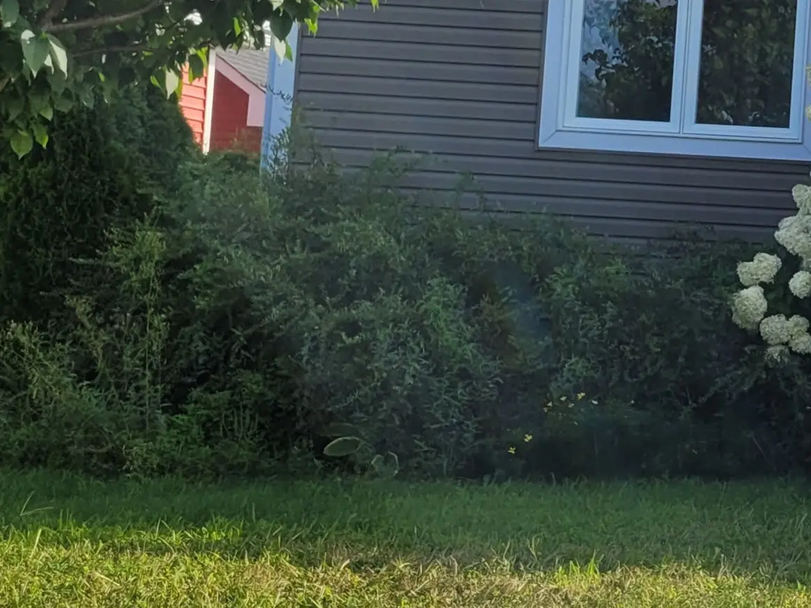 20230821_084809 (2)