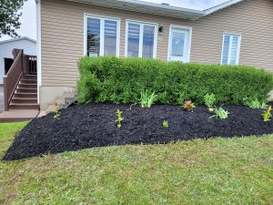 Nouvelle-plate-bande-Baie-du-Febvre-3