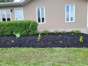 Nouvelle-plate-bande-Baie-du-Febvre-4