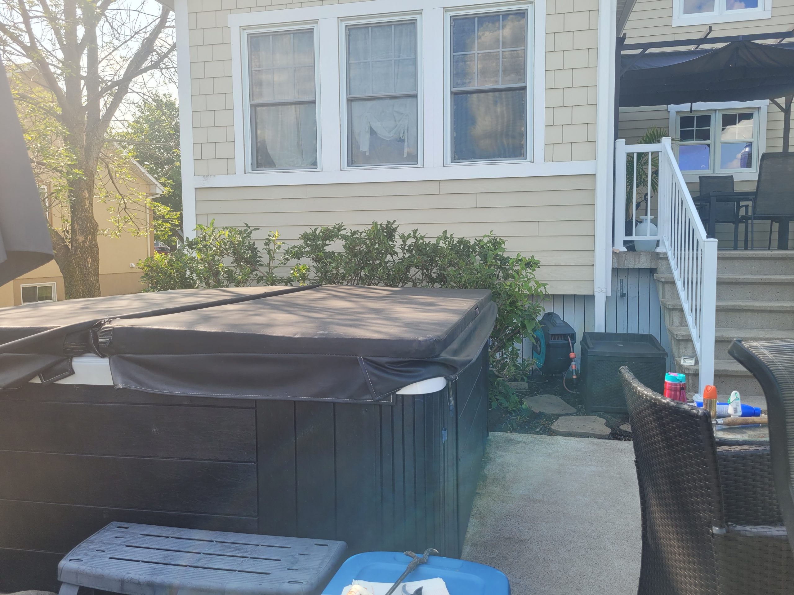 Taille-arbuste-envahissant-apres-2