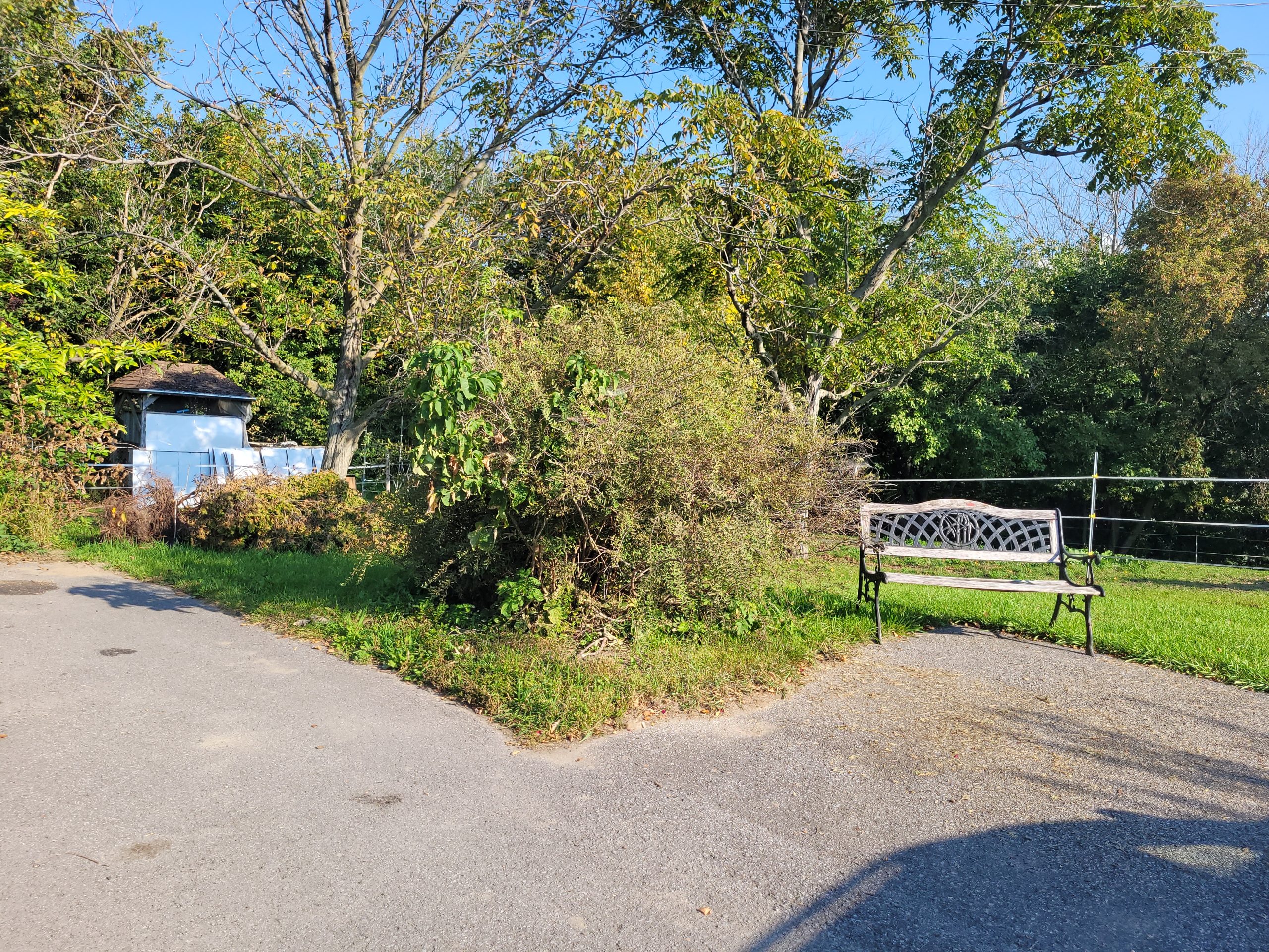 Taille-rajeunissement spirees-avant