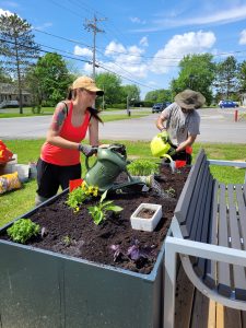 municipalité-sainte-perpetue-2