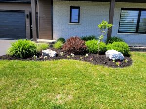 projet-madame-julie-1