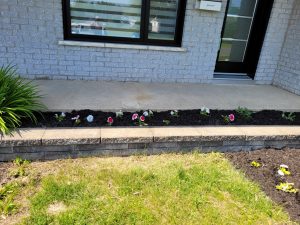 projet-madame-julie-2