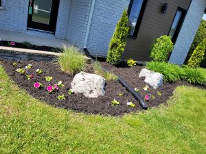 projet-madame-julie-3