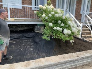 projet-madame-nancy-45