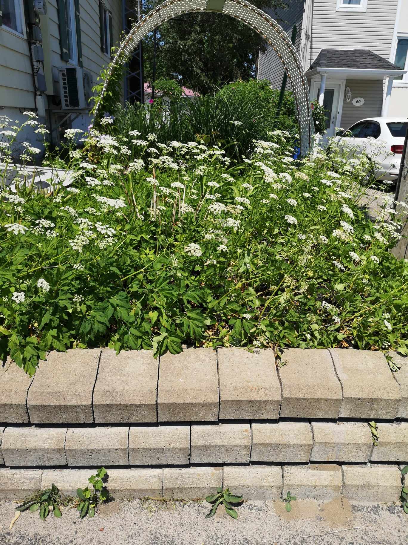 received_1010867613775100